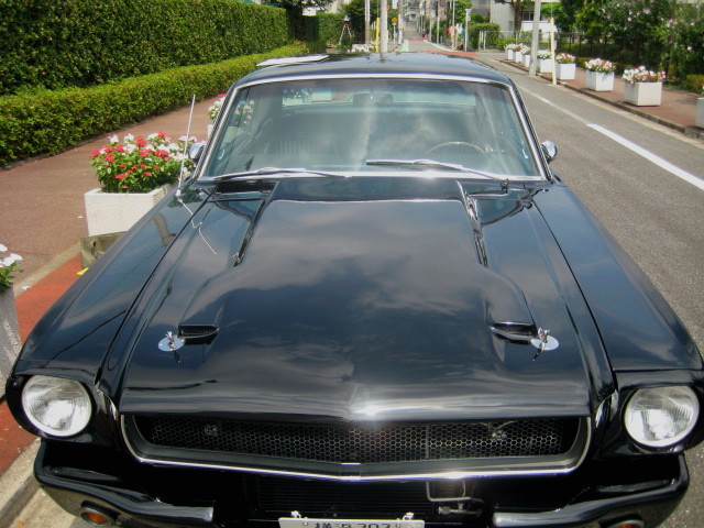 1965 Ford MUSTANG V8 5760cc E/G