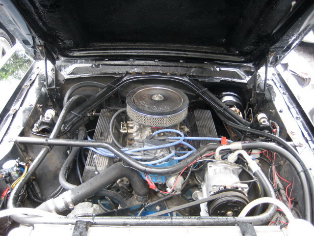 1965 Ford MUSTANG V8 5760cc E/G