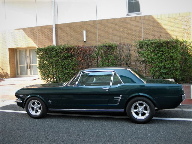 フォード マスタング 1966年モデル V8 4940cc E/G | HILLS AUTO