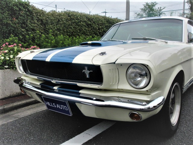 1965 Ford Mustang Firth back GT350 specifications
