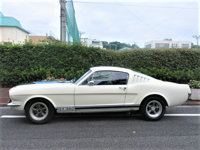1965 Ford Mustang Firth back GT350 specifications