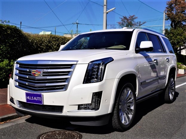 2018 Cadillac escalade Platinum 4WD