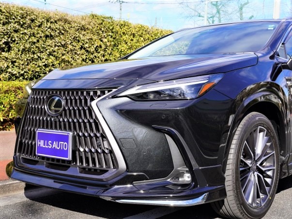 2022 Lexus NX350h version L Modellista