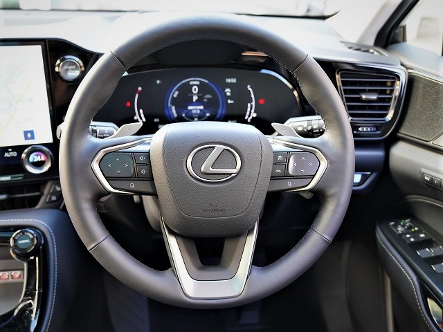 2022 Lexus NX350h version L Modellista