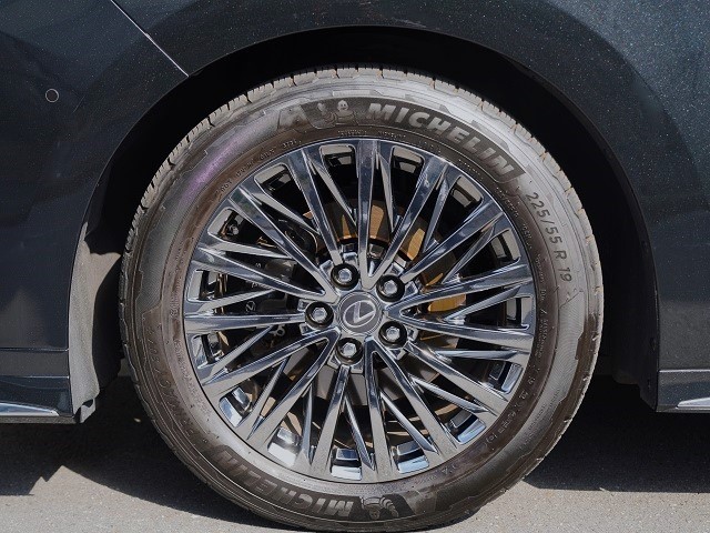 2024 Lexus LM 500h Version L 4WD Rear entry universal step