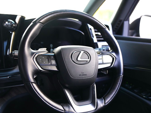 2024 Lexus LM 500h Version L 4WD Rear entry universal step